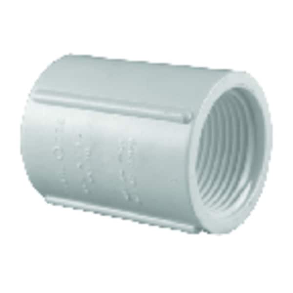 Charlotte Pipe And Foundry Charlotte Pipe Schedule 40 1/2 in. FPT X 1/2 in. D FPT PVC Coupling 1 pk PVC 02102 0500 - main